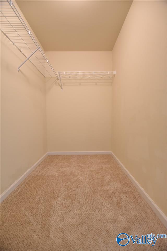 Building Photo - 219 Ivyleaf Dr