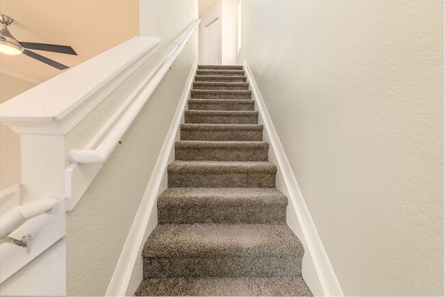 Building Photo - South Tampa