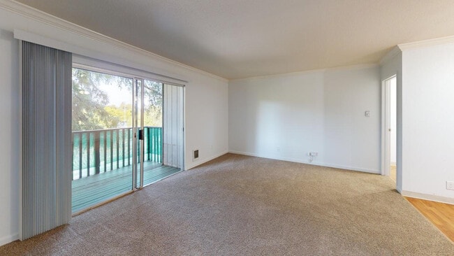 Building Photo - 475 Ignacio Blvd