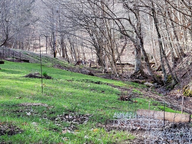 Building Photo - 1489 Brown's Chapel Rd