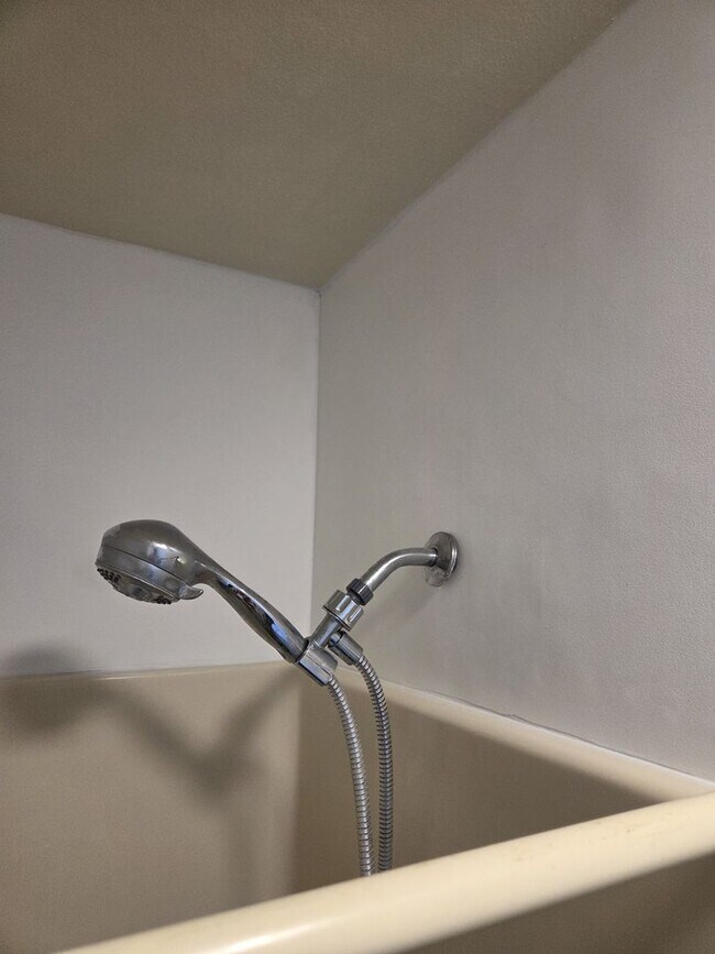 Building Photo - 4 bed 1 bath