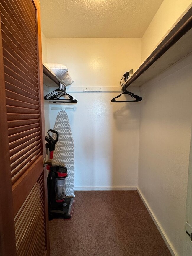 Building Photo - Newly Renovated - 1BDRM/1BATH