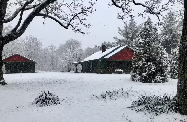 Building Photo - 3229 Plum Nelly Rd