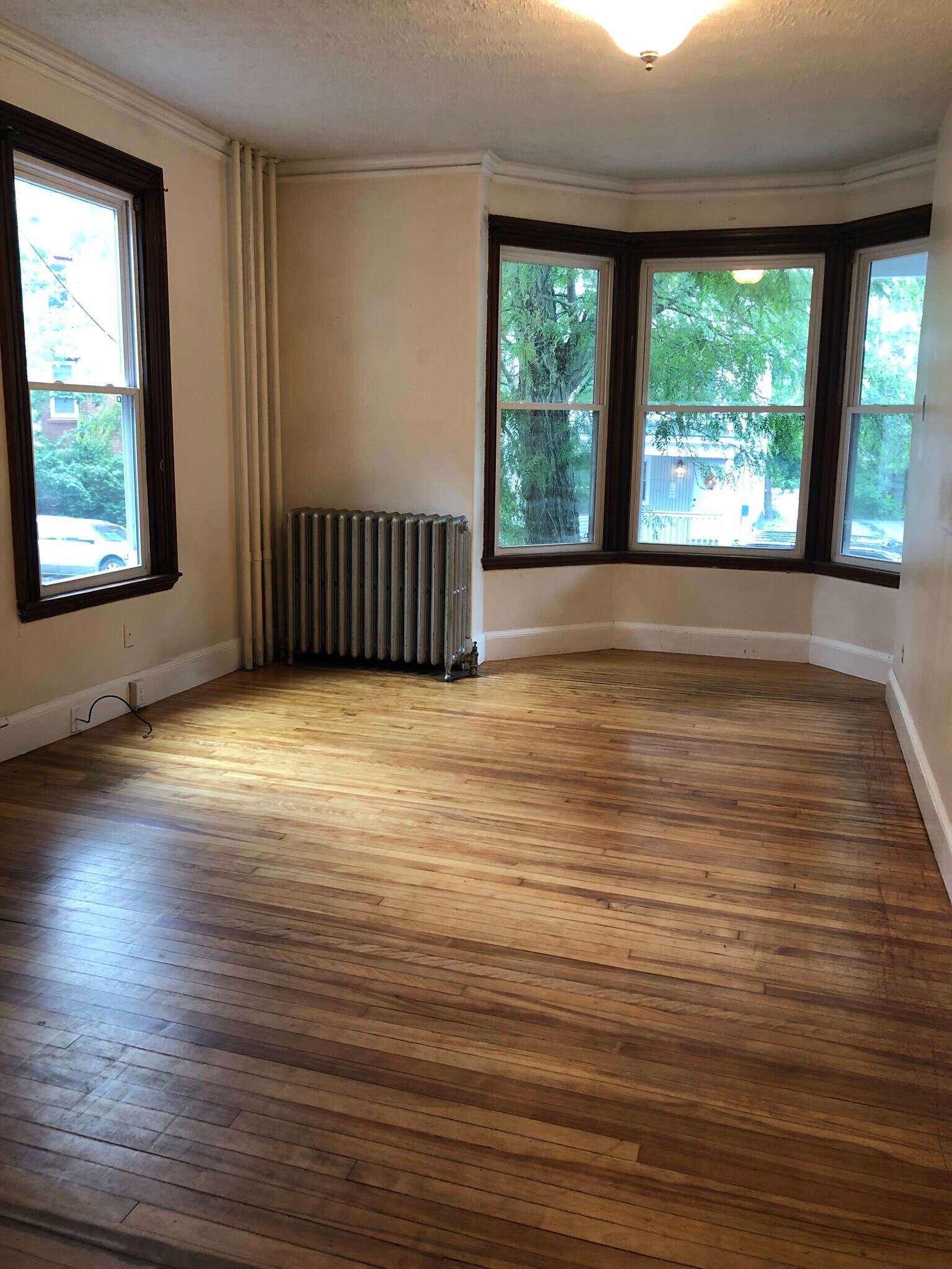 bright bay window - 20 Grant St