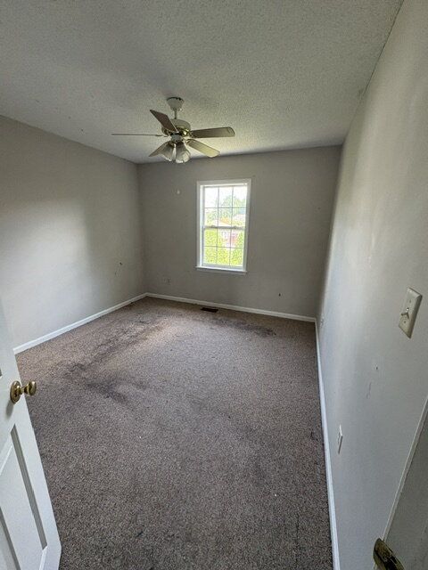 Building Photo - 2502 Bluff View Ct