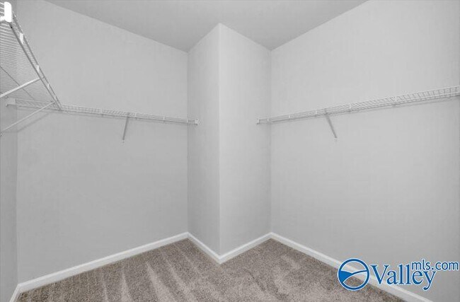 Building Photo - 29384 Satilla Cir