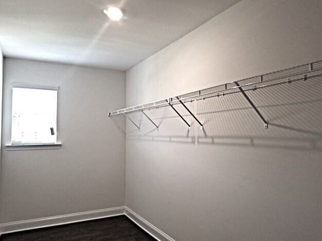 Building Photo - 3483 Shady Cove Ct