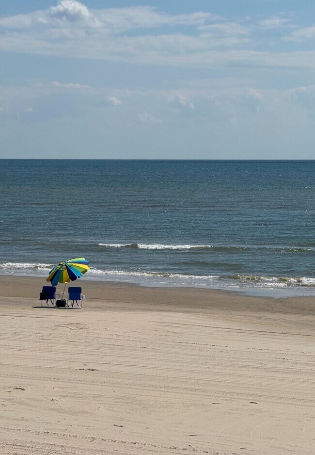 Building Photo - 229 Burkett St