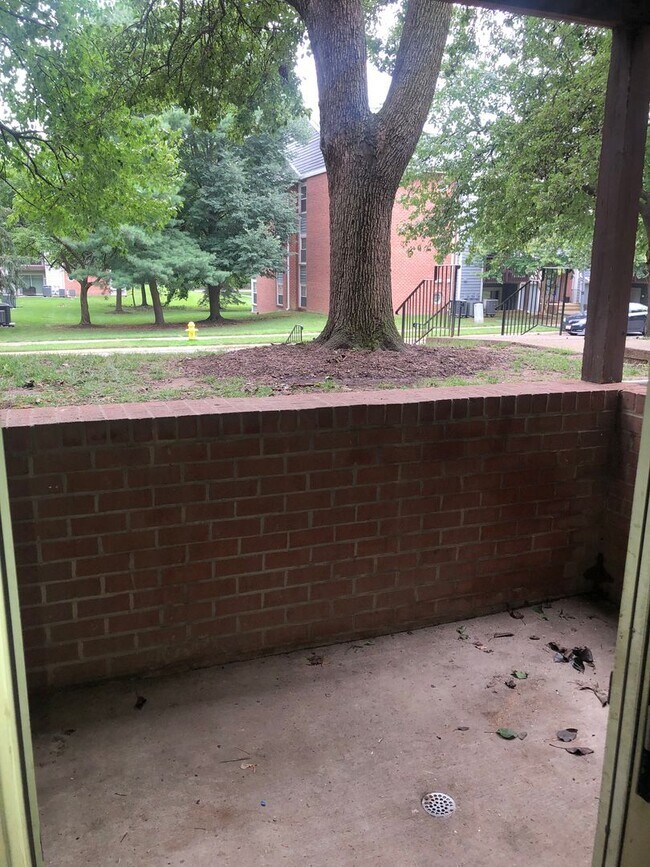 Building Photo - 206 Water Fountain Ct