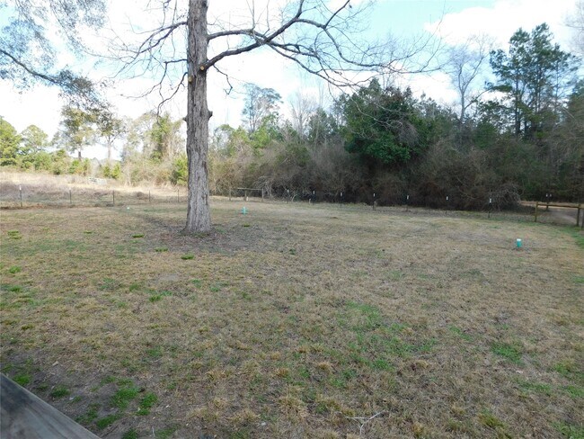 Building Photo - 537 Roscoe