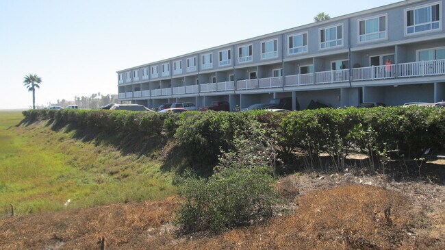 Building Photo - ACROSS FROM THE BEACH!