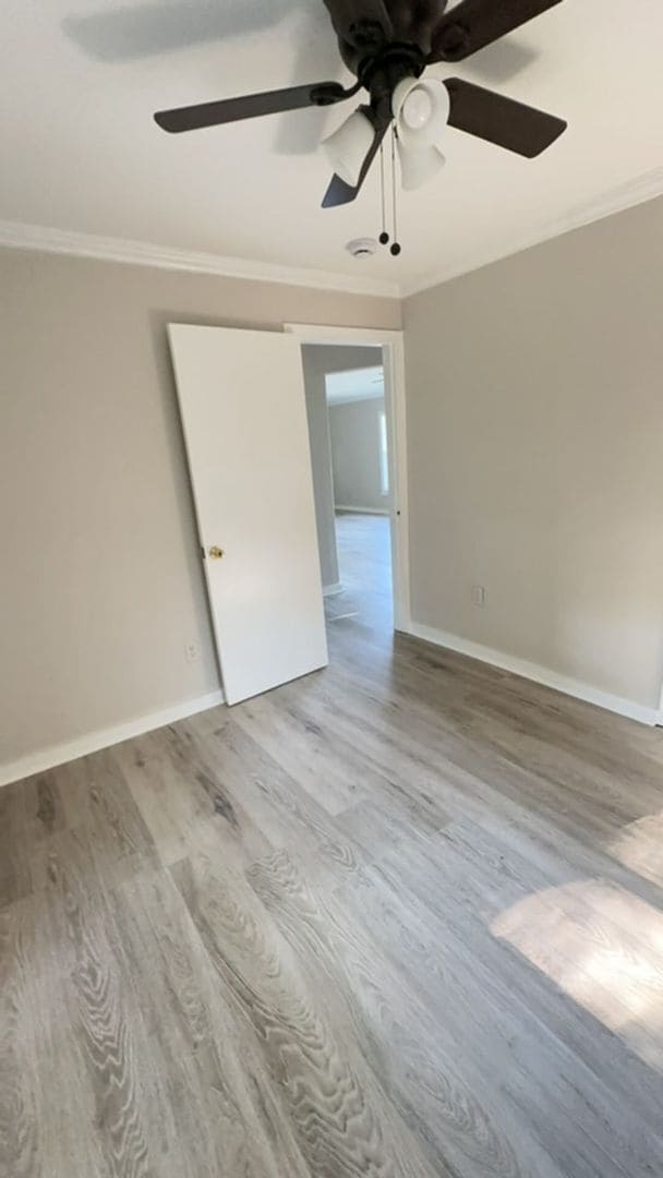 Building Photo - 501 Norvell St