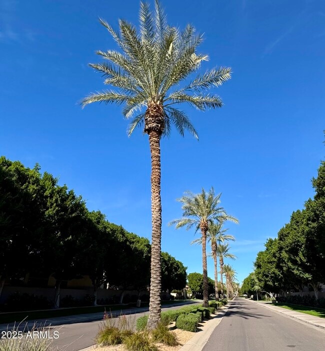 Building Photo - 7307 E Vaquero Dr