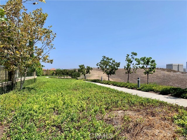 Building Photo - 81 Cipresso