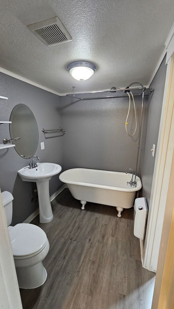 Building Photo - Cute 2-bed house,  Pet Friendly, Central location!