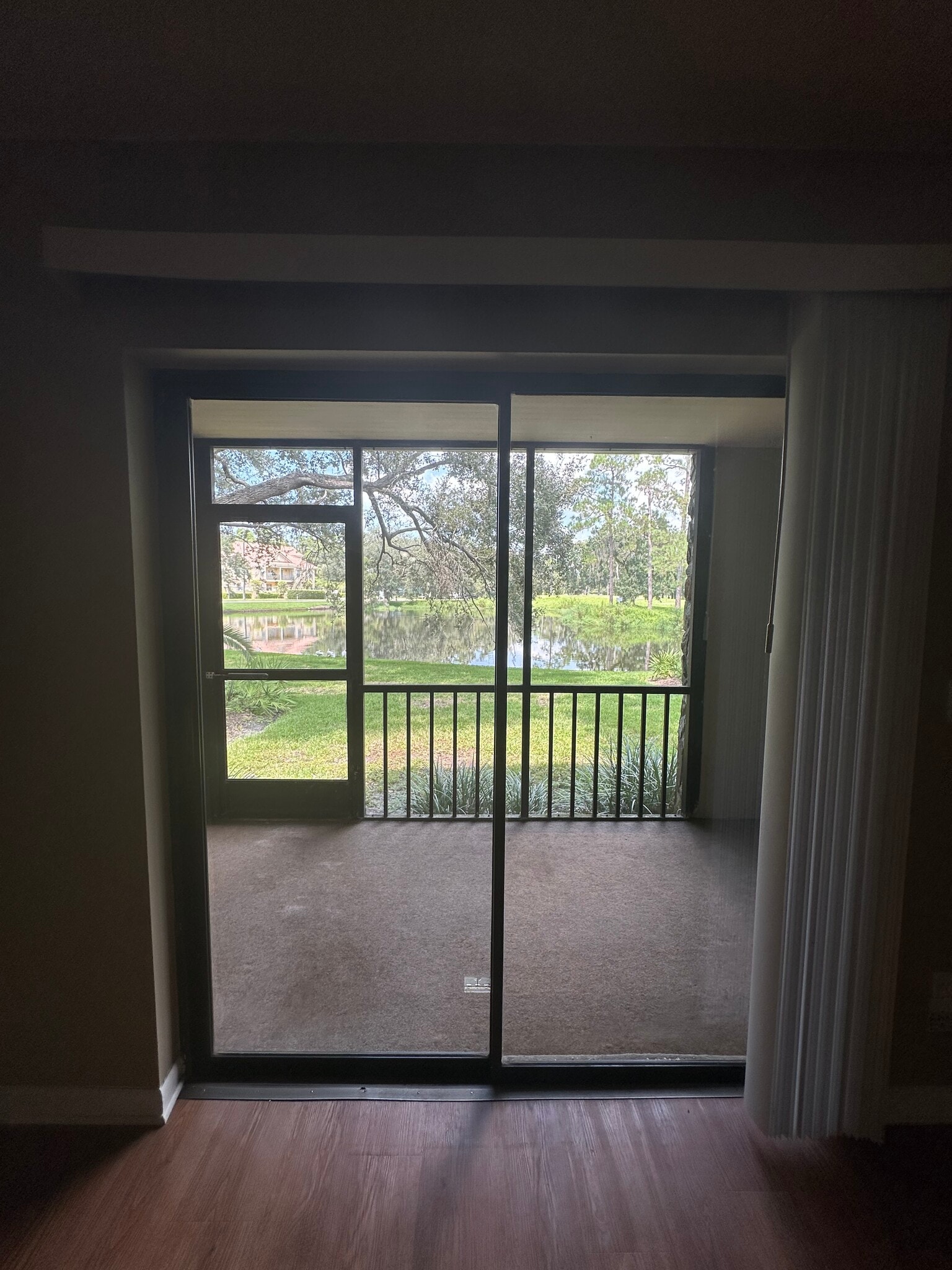 View of the backyard. - 1000 Tarpon Woods Blvd