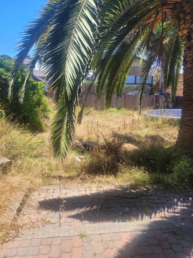 Building Photo - 1941 Nancy Ave