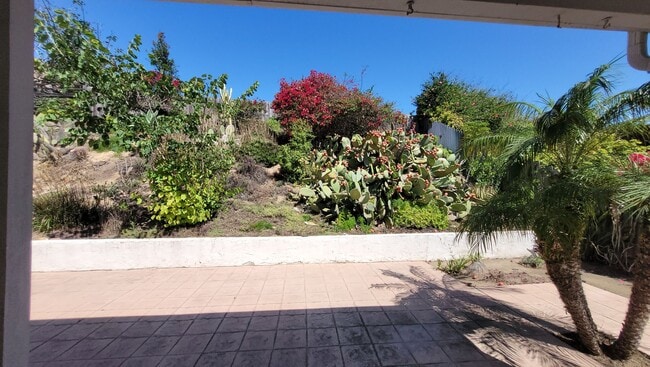 Building Photo - Beautifull 4 Bed 2 Bath In UTC Area