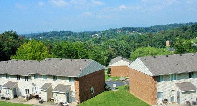 Building Photo - Willow View Townhouses