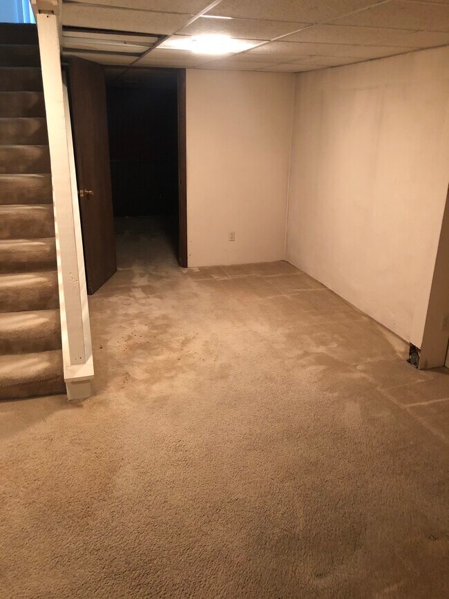 Basement 1 - 603 Woodingham Dr