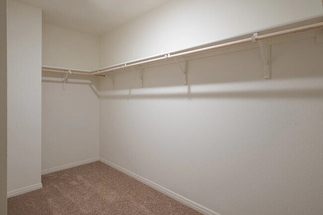 Walking closet - 19621 Caymus Dr