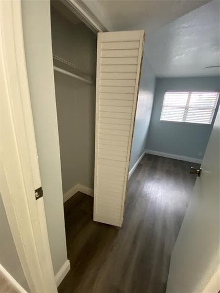 Building Photo - 5668 Blueberry Ct