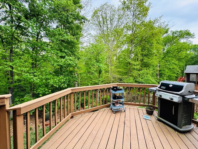Building Photo - BEAUTIFUL AND PRIVATE LAKE RIDGE HOME