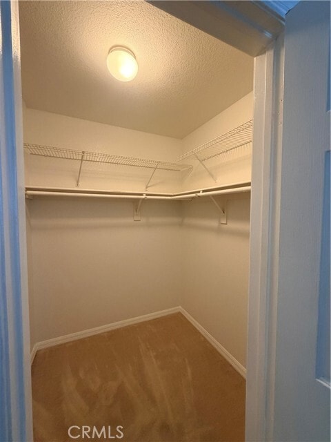 Building Photo - 1501 Rose Ct