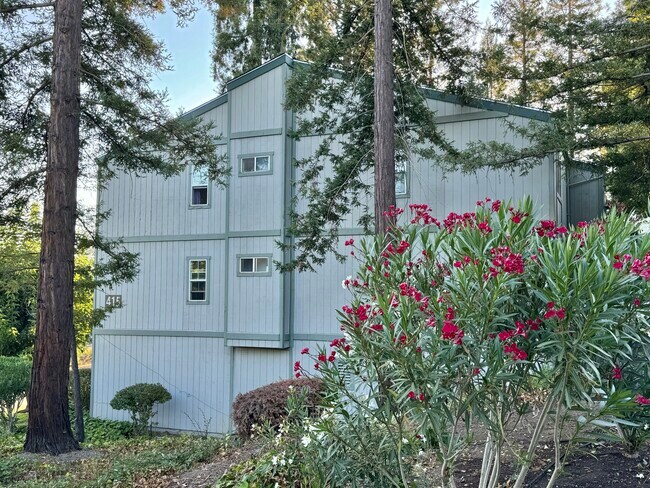 Building Photo - 415 Ignacio Blvd