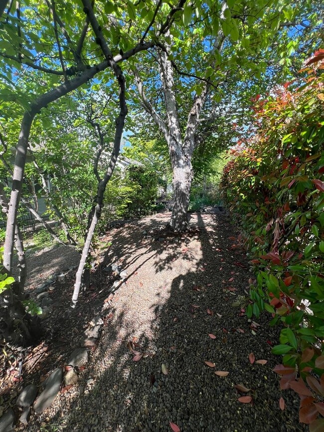 Building Photo - Gardener's Dream!  2 Bedroom house on quiet corner lot