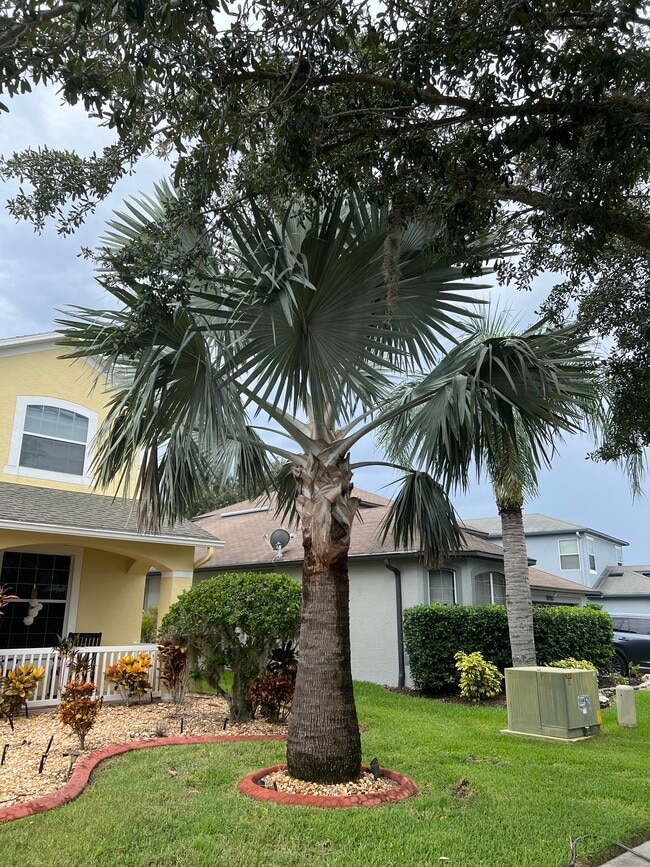 Building Photo - 19016 New Passage Blvd