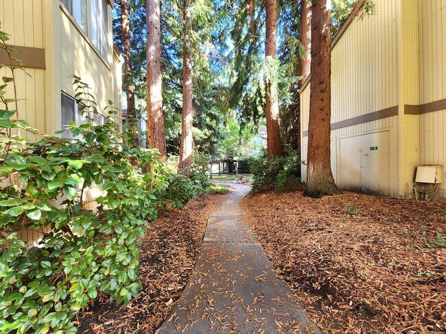 Building Photo - Charming 2BR/2BA Condo Steps from Downtown Mountain View