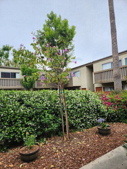 Building Photo - 8726 Independence Ave