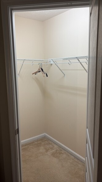 Building Photo - 2330 Treetop Ln