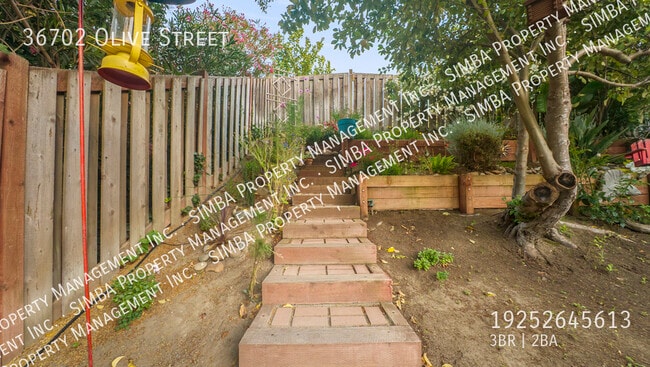 Building Photo - 36702 Olive St