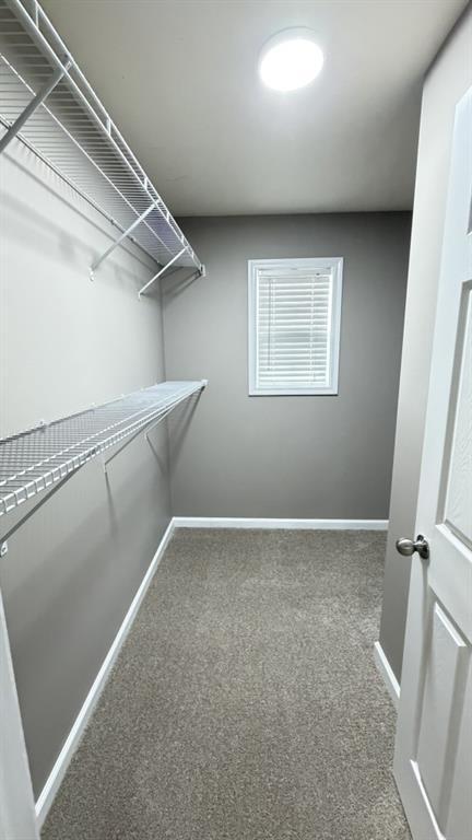 Building Photo - 3116 Garrard Pl