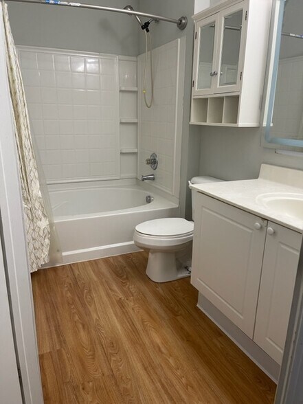 Master Bath1 - 729 Spring Valley Dr
