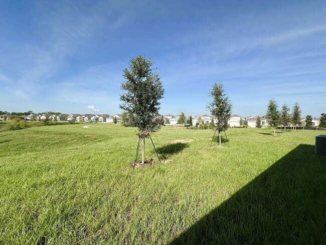 Building Photo - 3489 Chinotto Dr