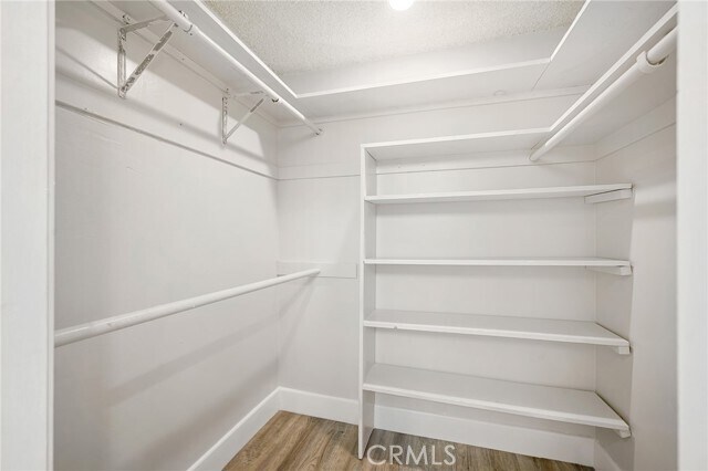 Building Photo - 1323 Branta Dr