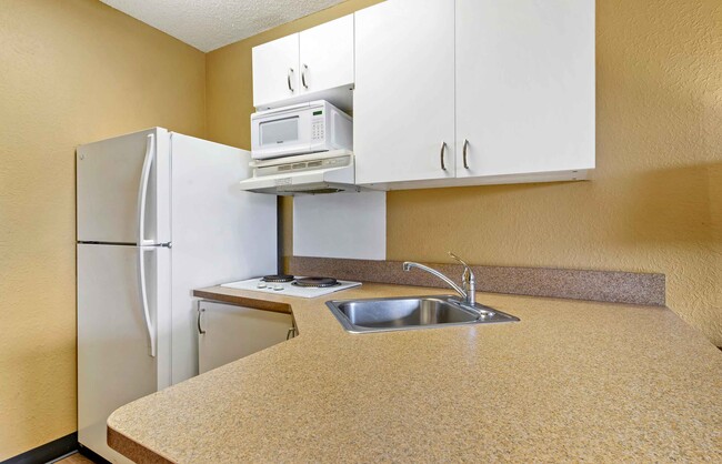 Building Photo - Furnished Studio-Tampa - North - USF-Attra...