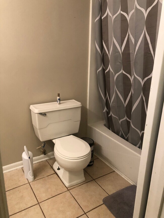 Hallway bathroom (midway in hallway, right side) - 130 Richard Dr
