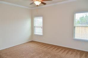 Building Photo - 304 Chickadee Ln