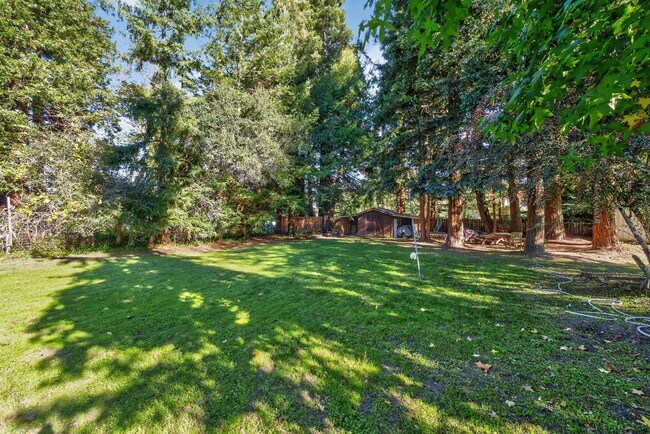 Building Photo - Charming 3-Bed / 2-Bath Retreat on Over an Acre in Sebastopol