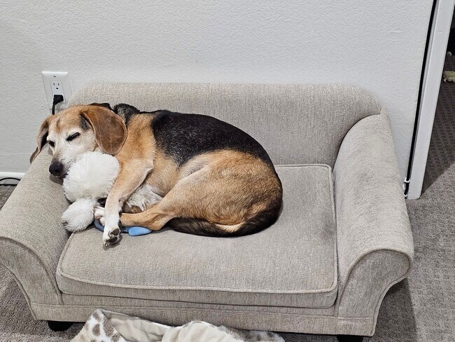 Building Photo - 400 S Flower St