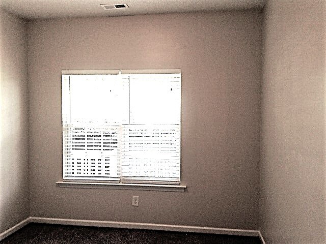 Building Photo - 4038 River Falls Dr