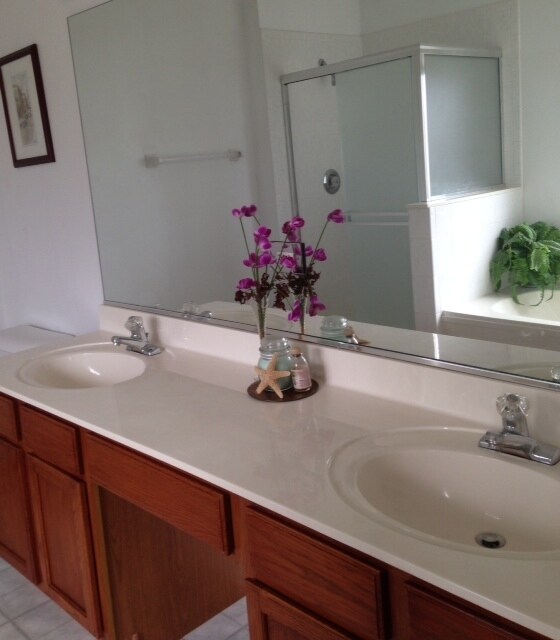 Master Bath - 932 Pimpernel Ct