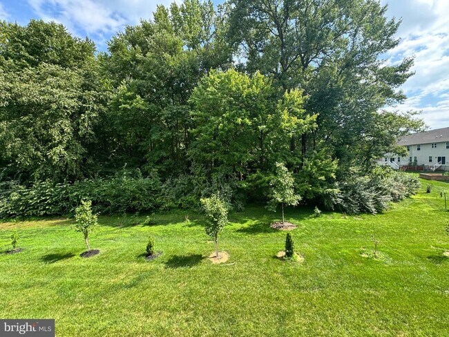 Building Photo - 812 Canary Island Ct
