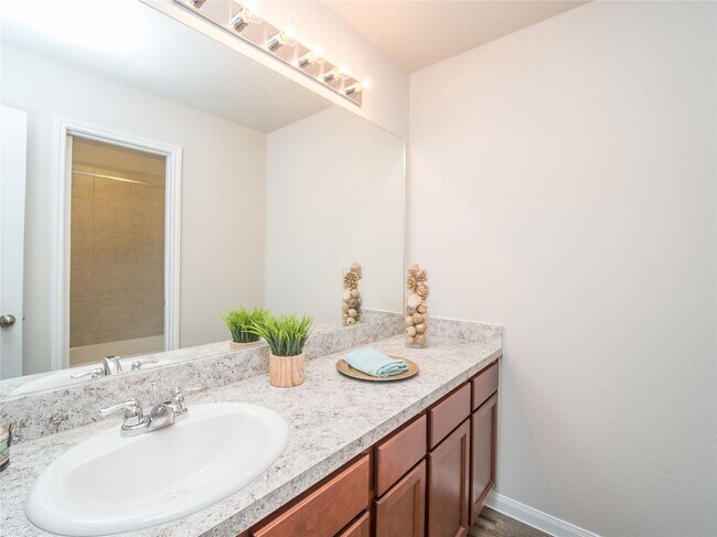 Building Photo - 3542 Vivaldi Dr
