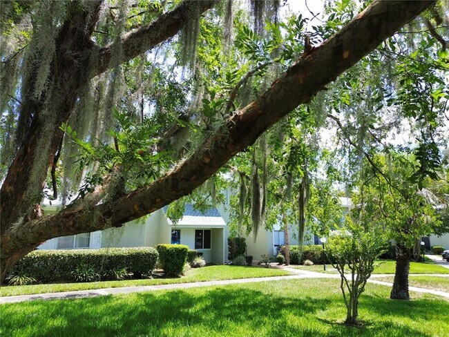 Building Photo - 564 Bahia Cir