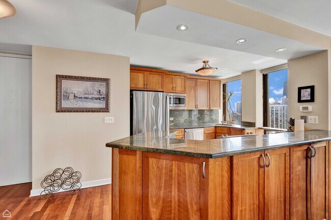 Building Photo - 1660 N La Salle Dr